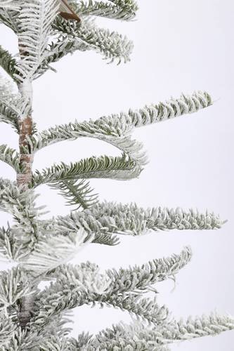 Albero natale pino innevato con tronco legno 180h