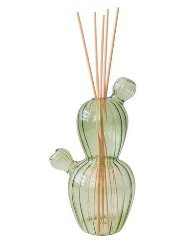 Diffusore profumo vetro cactus verde con bastoncini bamboo