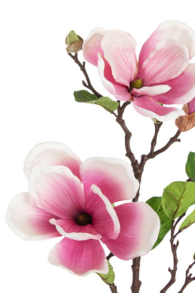 PopSockets Adesivo Con Fiore Rosa Magnolia – PopGrip Per Telefono, Design Floreale Botanico