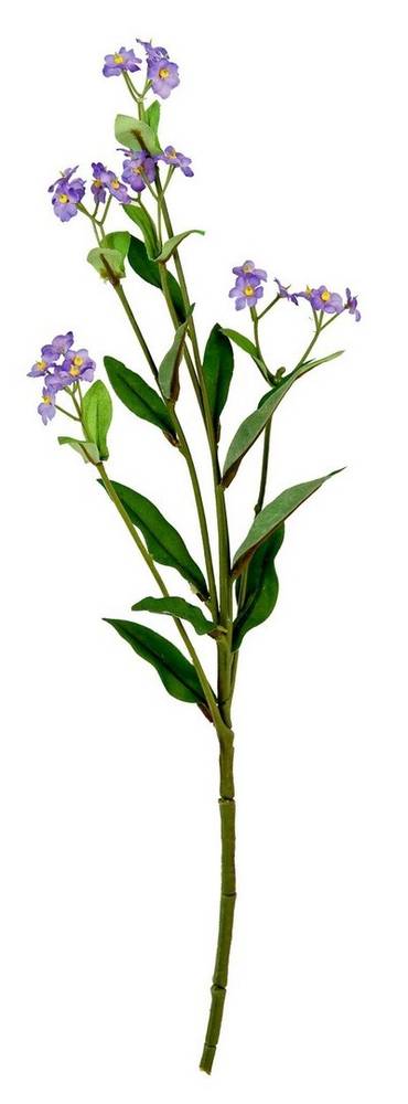 Fiore non ti scordare di me lilla 39h
