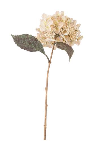 Fiore ortensia bianco anticato 52h
