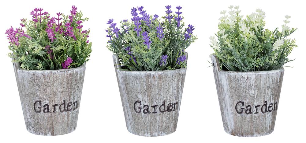 Pianta fiorellini colorati vaso grigio garden 16h