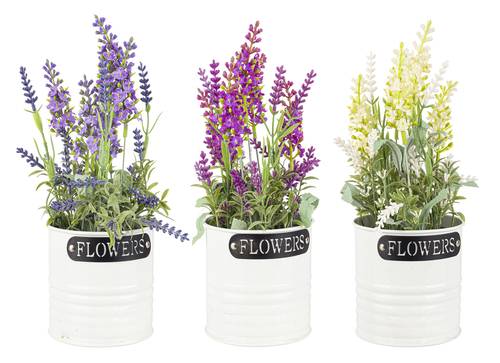 Piantina lavanda in vaso metallo bianco flower 24h