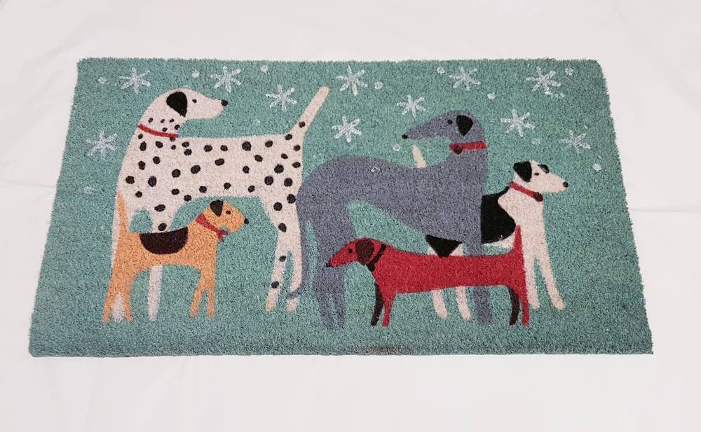 Zerbino cocco da ingresso cani in gruppo su sfondo verde 40x70