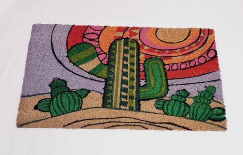 Zerbino ingresso cocco Cactus verdi nel deserto 70x40